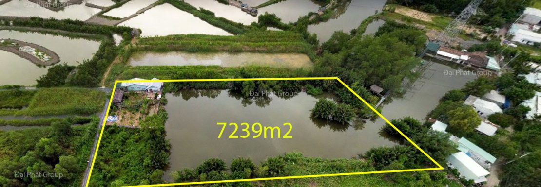 7239m2 đất nông nghiệp, Nhơn Đức, Nhà Bè